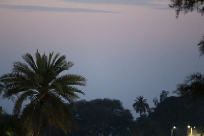 Low angle view of silhouette palm trees against sky