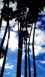 Low angle view of palm trees against sky