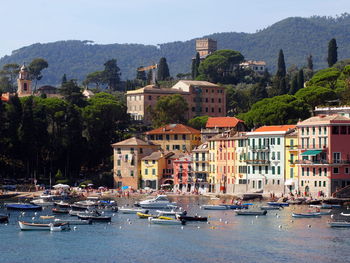 Sailboats moored on harbor by buildings in city