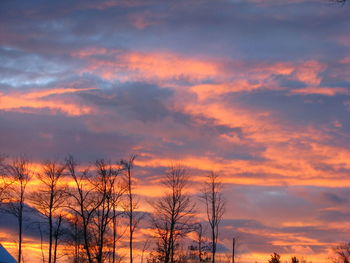 Low angle view of silhouette trees against dramatic sky