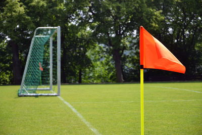 Basketball hoop on field against trees