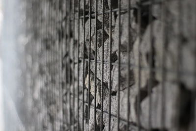 Close-up of metal fence against wall