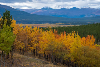 Scenic view of trees and mountains during autumn