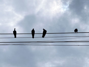 Low angle view of birds perching on cable against sky