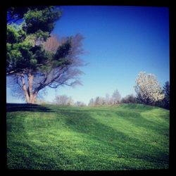 Scenic view of grassy field against sky