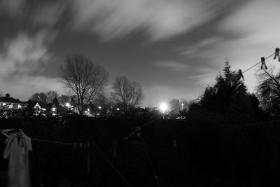 View of trees against sky