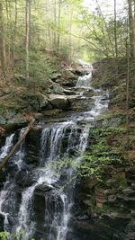 Scenic view of waterfall in forest