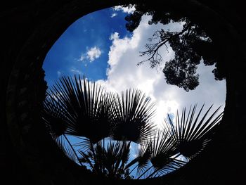 Low angle view of silhouette palm trees against blue sky