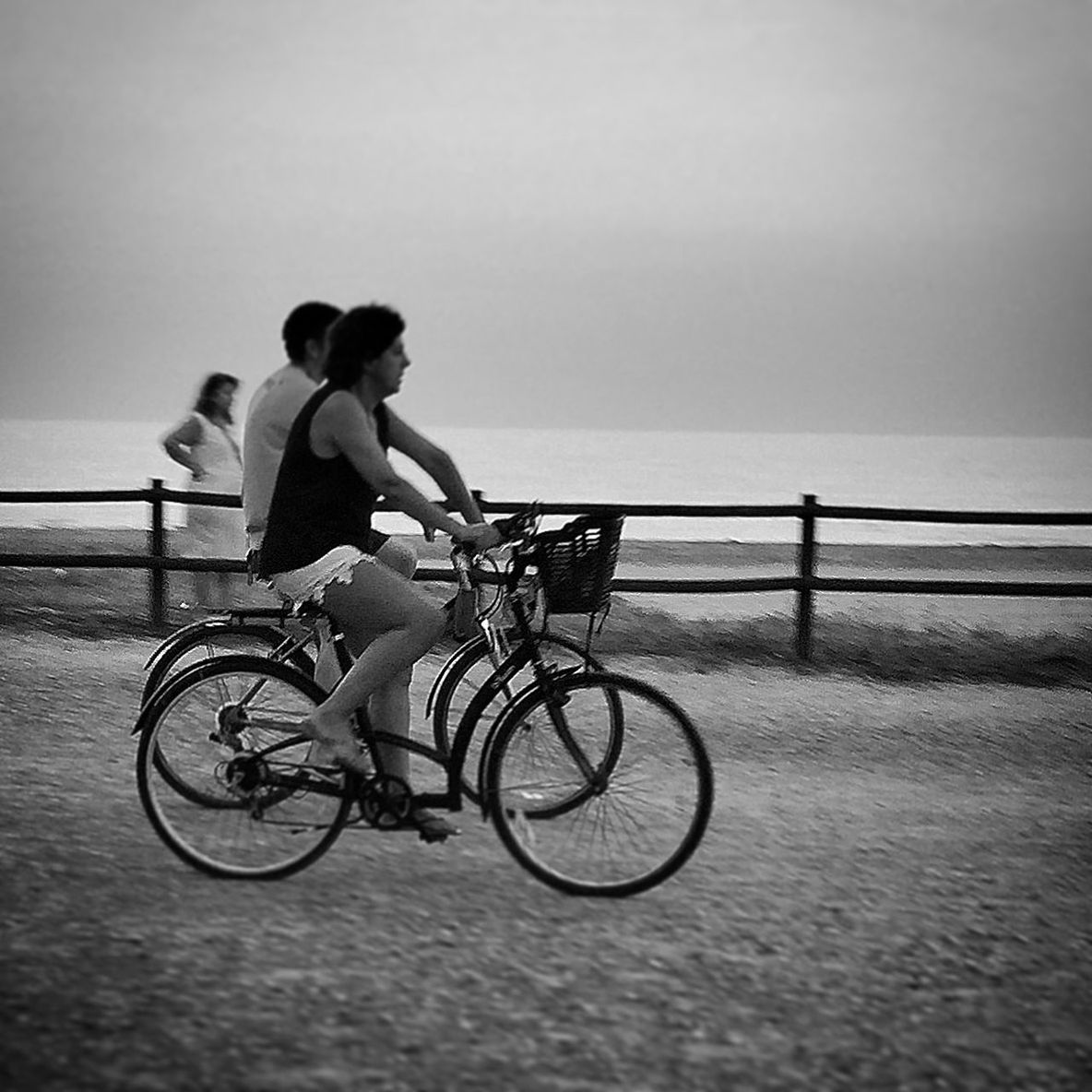 bicycle, sea, transportation, mode of transport, men, full length, leisure activity, lifestyles, water, horizon over water, riding, beach, land vehicle, clear sky, copy space, rear view, cycling, side view