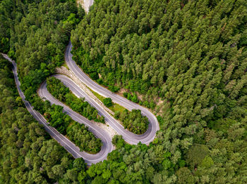 Winding road through the forest, from high mountain pass, in summer time. aerial view by drone