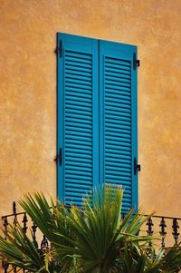 Closed blue window of building