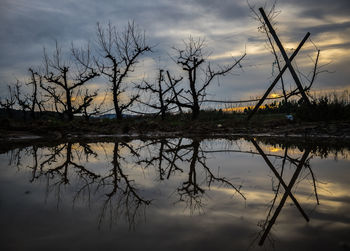 Bare tree by lake against sky during sunset