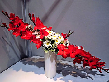 Close-up of red flowers in vase