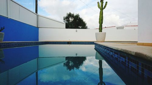 Reflection of trees on swimming pool against sky