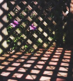 Low angle view of built structure