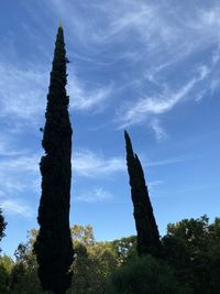 Low angle view of trees against sky