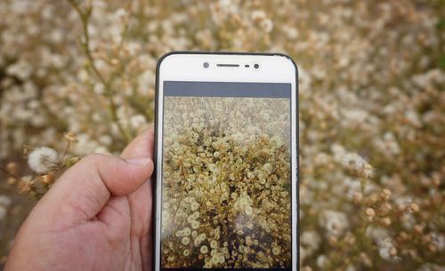 Close-up of hand holding mobile phone