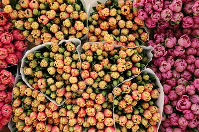 High angle view of flowers for sale in market