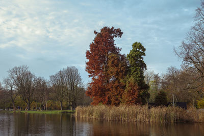 Scenic view of lake by trees against sky