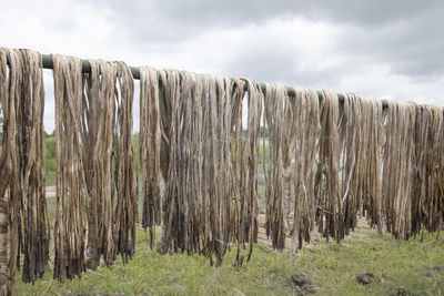 Panoramic view of wooden posts on field against sky