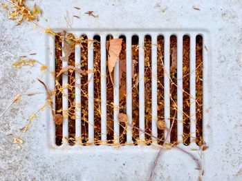 Close-up of rusty metal grate on wall