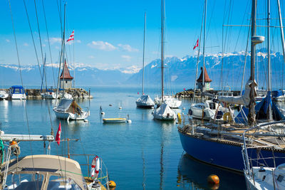 Sailboats moored in harbor