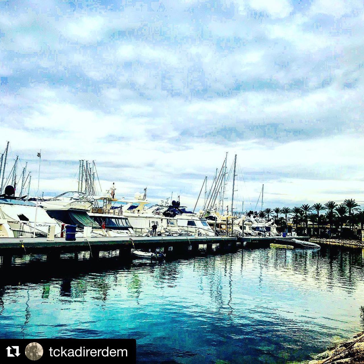 SAILBOATS MOORED AT HARBOR