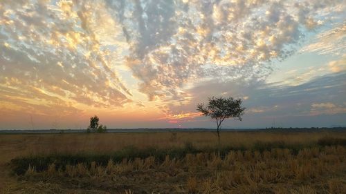 Scenic view of field against sky during sunset