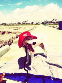 Woman on beach against sky