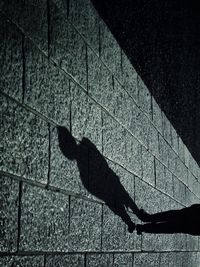 Shadow of person on wall