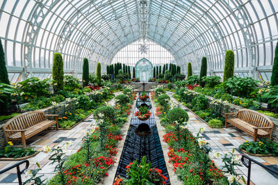 Plants growing in greenhouse