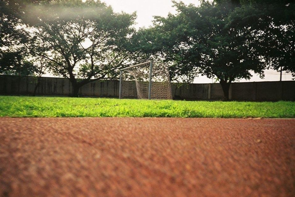 grass, surface level, tree, road, field, green color, street, tranquility, growth, asphalt, day, sky, nature, shadow, no people, tranquil scene, outdoors, empty, the way forward, footpath