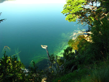 Scenic view of lake