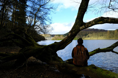 Man in tree trunk against sky