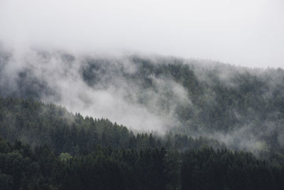 Scenic view of forest against sky during foggy weather