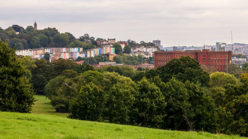 Trees and buildings against sky