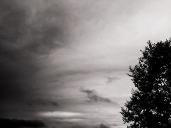 Low angle view of tree against cloudy sky