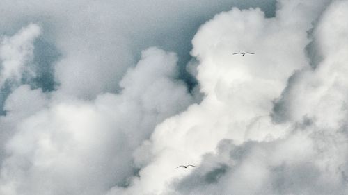 Close-up of airplane flying in sky during winter