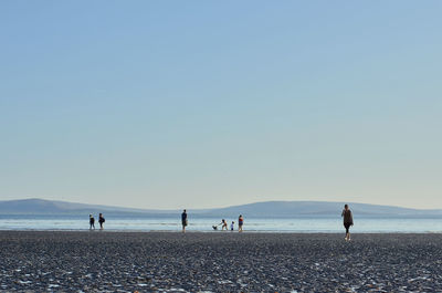 People on beach against clear sky