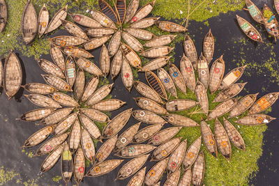 High angle view of leaves on field during autumn