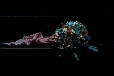 Close-up of wilted rose over black background