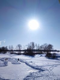 Bare trees on snow covered field against sky