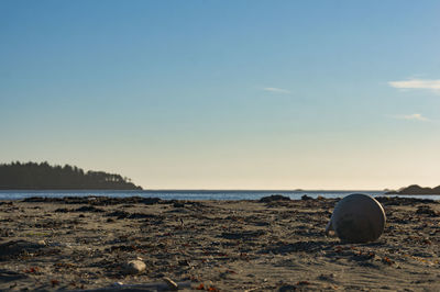 Scenic view of calm beach against sky