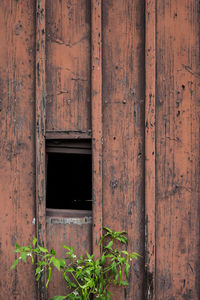 Exterior of brick wall