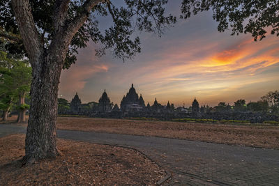 Trees and buildings against sky during sunset