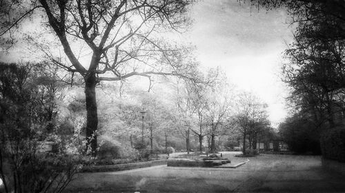 Road passing through bare trees