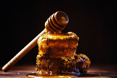 Close-up of shell on table against black background