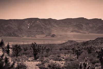 Scenic view of mountains