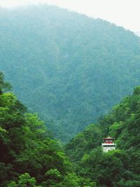 Scenic view of mountains