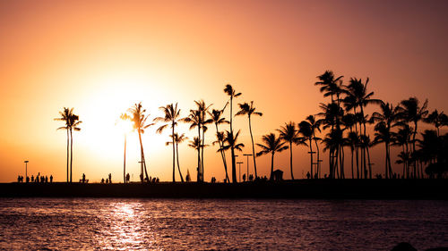 Silhouette palm trees by sea against sky during sunset